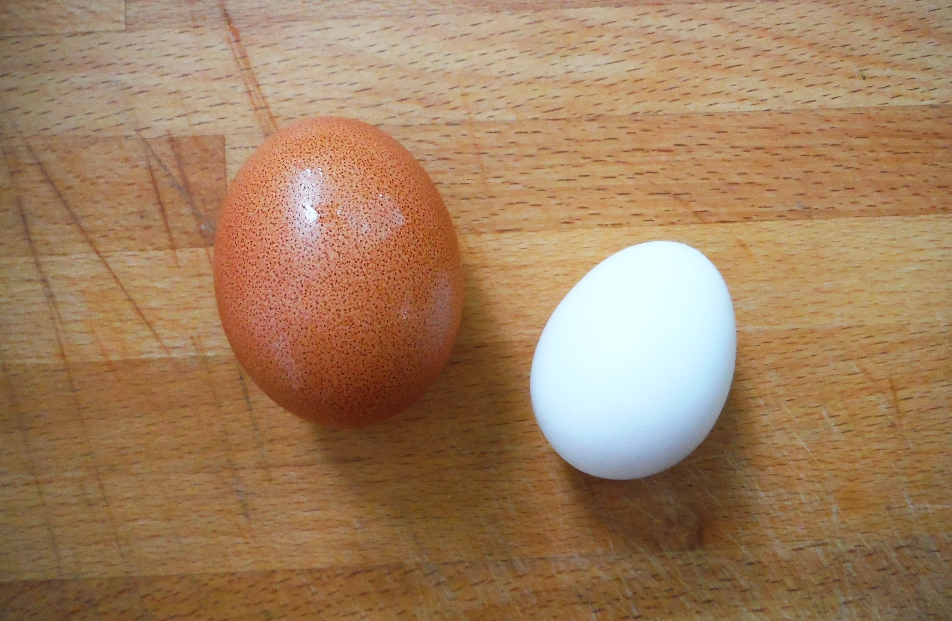 Размер яиц кур. Яйцо бентамки. Бентамка куры яйца. Яйца кур Сибрайт. Курица бентамка яйца.